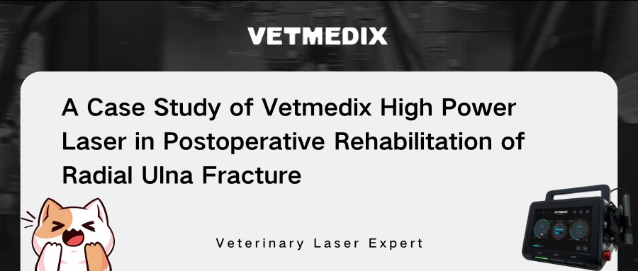 Zdieľanie prípadu veterinára 丨 vysoko výkonná laserová terapia pri pooperačnej rehabilitácii zlomenín radiálnej ulny