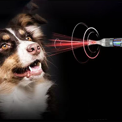 Prečo používať laser triedy IV vo veterinárnej medicíne?